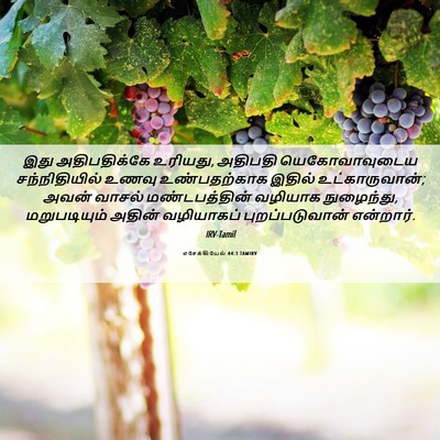 Picture 06 - எசேக்கியேல் 44:3 TAMIRV - இது அதிபதிக்கே - Bible Verse Picture