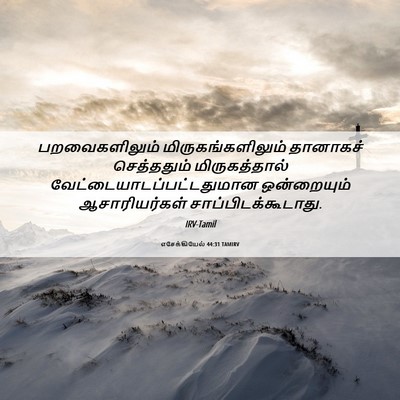 Picture 06 - எசேக்கியேல் 44:31 TAMIRV - பறவைகளிலும் - Bible Verse Picture