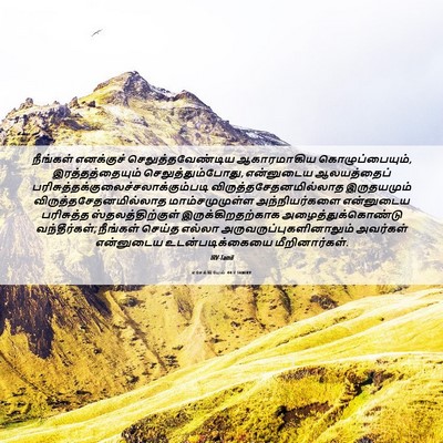 Picture 06 - எசேக்கியேல் 44:7 TAMIRV - நீங்கள் எனக்குச் - Bible Verse Picture