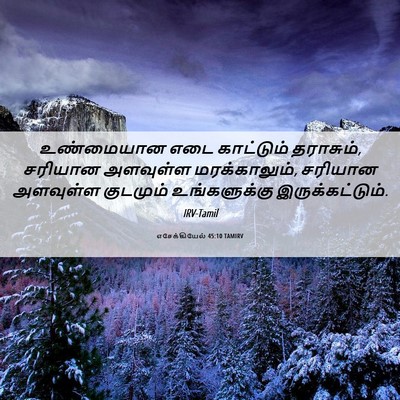 Picture 06 - எசேக்கியேல் 45:10 TAMIRV - உண்மையான எடை - Bible Verse Picture