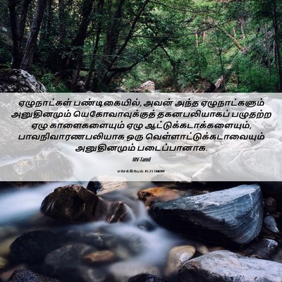 Picture 06 - எசேக்கியேல் 45:23 TAMIRV - ஏழுநாட்கள் - Bible Verse Picture