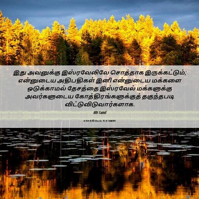 Picture 06 - எசேக்கியேல் 45:8 TAMIRV - இது அவனுக்கு - Bible Verse Picture