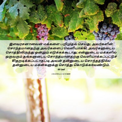 Picture 06 - எசேக்கியேல் 46:18 TAMIRV - இளவரசனானவன் - Bible Verse Picture
