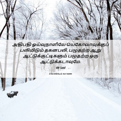 Picture 06 - எசேக்கியேல் 46:4 TAMIRV - அதிபதி - Bible Verse Picture