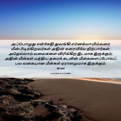 Picture 06 - எசேக்கியேல் 47:10 TAMIRV - அப்பொழுது என்கேதி - Bible Verse Picture