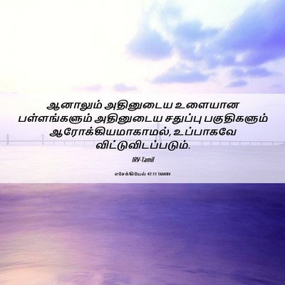 Picture 06 - எசேக்கியேல் 47:11 TAMIRV - ஆனாலும் அதினுடைய - Bible Verse Picture