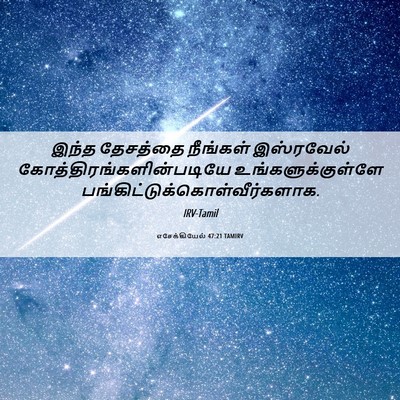 Picture 06 - எசேக்கியேல் 47:21 TAMIRV - இந்த தேசத்தை - Bible Verse Picture