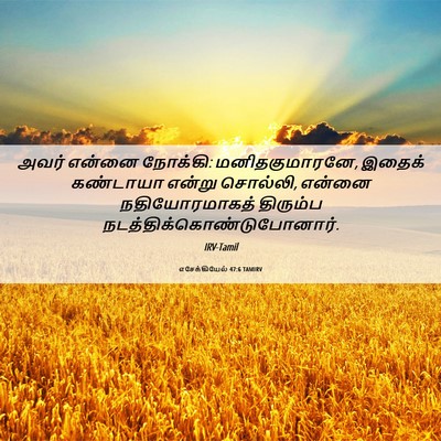 Picture 06 - எசேக்கியேல் 47:6 TAMIRV - அவர் என்னை நோக்கி: - Bible Verse Picture