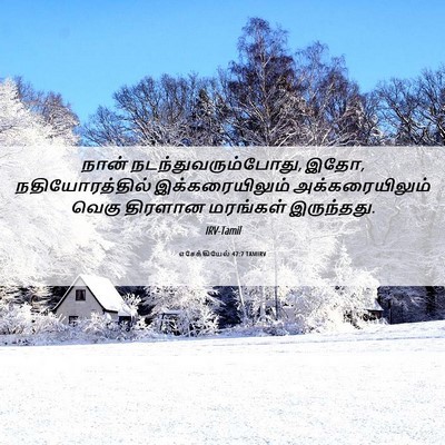 Picture 06 - எசேக்கியேல் 47:7 TAMIRV - நான் - Bible Verse Picture