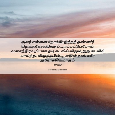 Picture 06 - எசேக்கியேல் 47:8 TAMIRV - அவர் என்னை நோக்கி: - Bible Verse Picture