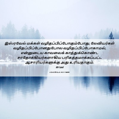 Picture 06 - எசேக்கியேல் 48:11 TAMIRV - இஸ்ரவேல் மக்கள் - Bible Verse Picture