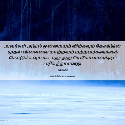 Picture 06 - எசேக்கியேல் 48:14 TAMIRV - அவர்கள் அதில் - Bible Verse Picture