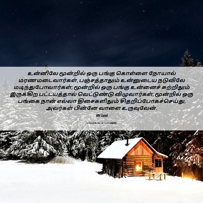 Picture 06 - எசேக்கியேல் 5:12 TAMIRV - உன்னிலே மூன்றில் - Bible Verse Picture