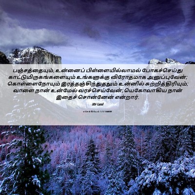 Picture 06 - எசேக்கியேல் 5:17 TAMIRV - பஞ்சத்தையும், - Bible Verse Picture