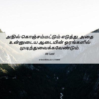 Picture 06 - எசேக்கியேல் 5:3 TAMIRV - அதில் - Bible Verse Picture