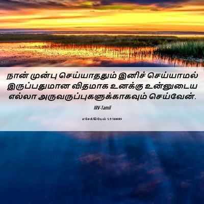 Picture 06 - எசேக்கியேல் 5:9 TAMIRV - நான் முன்பு - Bible Verse Picture