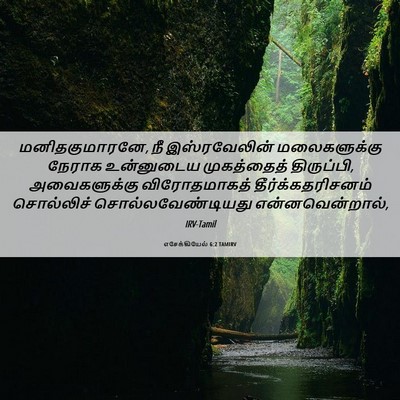 Picture 06 - எசேக்கியேல் 6:2 TAMIRV - மனிதகுமாரனே, நீ - Bible Verse Picture