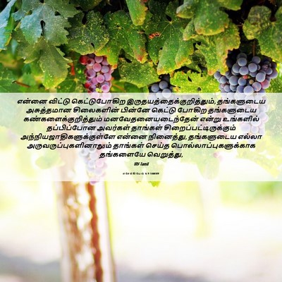 Picture 06 - எசேக்கியேல் 6:9 TAMIRV - என்னை விட்டு - Bible Verse Picture
