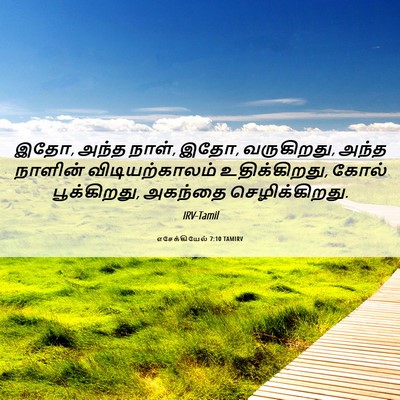 Picture 06 - எசேக்கியேல் 7:10 TAMIRV - இதோ, அந்த நாள், இதோ, - Bible Verse Picture
