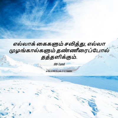 Picture 06 - எசேக்கியேல் 7:17 TAMIRV - எல்லாக் கைகளும் - Bible Verse Picture