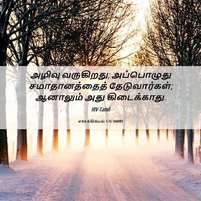 Picture 06 - எசேக்கியேல் 7:25 TAMIRV - அழிவு வருகிறது; - Bible Verse Picture