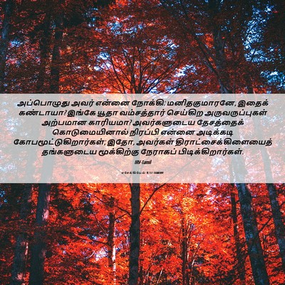 Picture 06 - எசேக்கியேல் 8:17 TAMIRV - அப்பொழுது அவர் - Bible Verse Picture