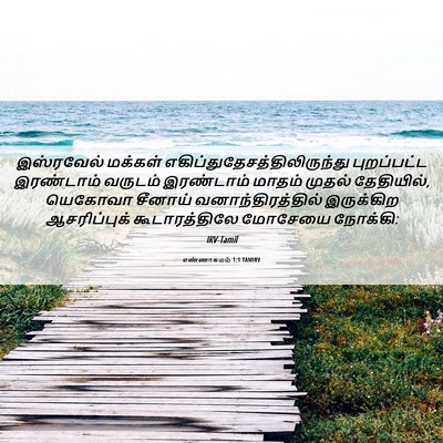 Picture 06 - எண்ணாகமம் 1:1 TAMIRV - இஸ்ரவேல் மக்கள் - Bible Verse Picture