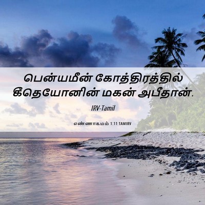 Picture 06 - எண்ணாகமம் 1:11 TAMIRV - பென்யமீன் - Bible Verse Picture