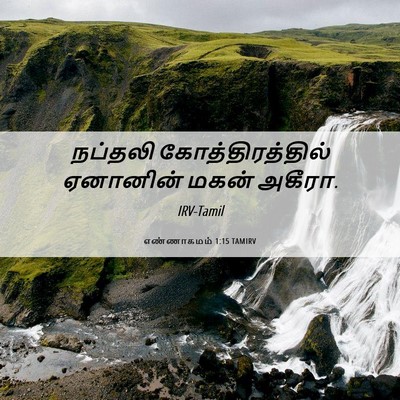 Picture 06 - எண்ணாகமம் 1:15 TAMIRV - நப்தலி - Bible Verse Picture