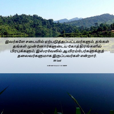Picture 06 - எண்ணாகமம் 1:16 TAMIRV - இவர்களே சபையில் - Bible Verse Picture