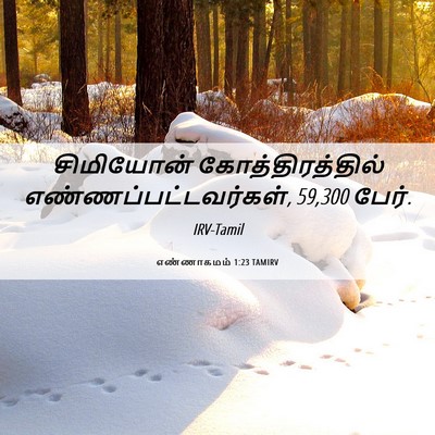 Picture 06 - எண்ணாகமம் 1:23 TAMIRV - சிமியோன் - Bible Verse Picture