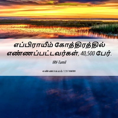 Picture 06 - எண்ணாகமம் 1:33 TAMIRV - எப்பிராயீம் - Bible Verse Picture