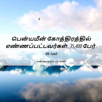 Picture 06 - எண்ணாகமம் 1:37 TAMIRV - பென்யமீன் - Bible Verse Picture