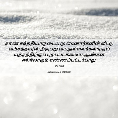 Picture 06 - எண்ணாகமம் 1:38 TAMIRV - தாண் - Bible Verse Picture