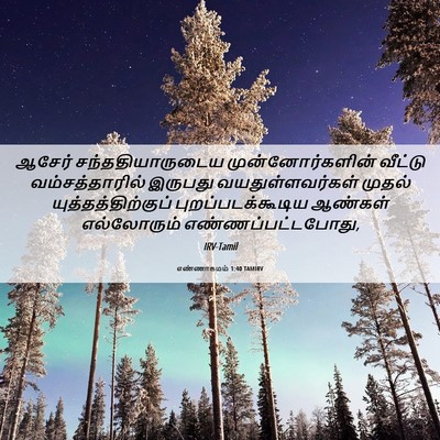 Picture 06 - எண்ணாகமம் 1:40 TAMIRV - ஆசேர் - Bible Verse Picture