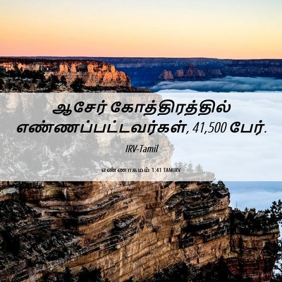 Picture 06 - எண்ணாகமம் 1:41 TAMIRV - ஆசேர் - Bible Verse Picture