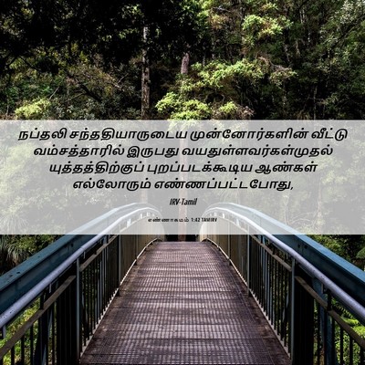 Picture 06 - எண்ணாகமம் 1:42 TAMIRV - நப்தலி - Bible Verse Picture