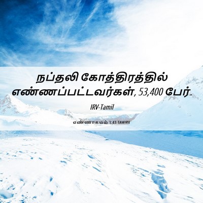 Picture 06 - எண்ணாகமம் 1:43 TAMIRV - நப்தலி - Bible Verse Picture