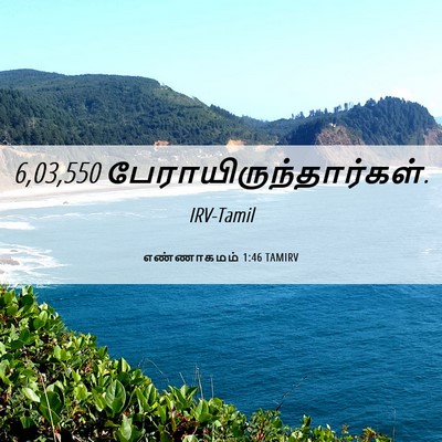 Picture 06 - எண்ணாகமம் 1:46 TAMIRV - 6,03,550 - Bible Verse Picture