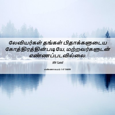 Picture 06 - எண்ணாகமம் 1:47 TAMIRV - லேவியர்கள் தங்கள் - Bible Verse Picture