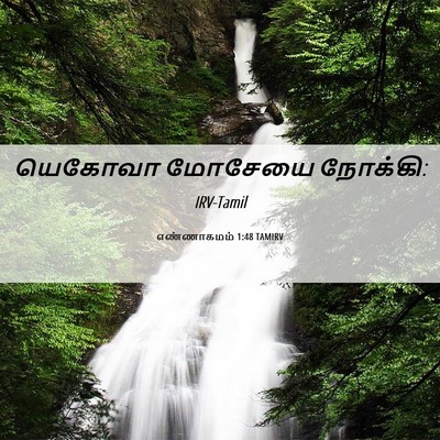 Picture 06 - எண்ணாகமம் 1:48 TAMIRV - யெகோவா மோசேயை - Bible Verse Picture