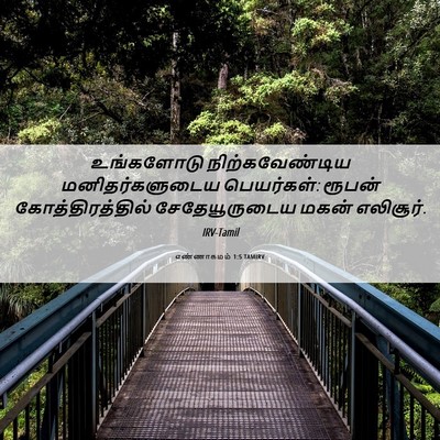 Picture 06 - எண்ணாகமம் 1:5 TAMIRV - உங்களோடு - Bible Verse Picture