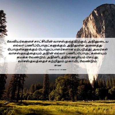 Picture 06 - எண்ணாகமம் 1:50 TAMIRV - லேவியர்களைச் - Bible Verse Picture