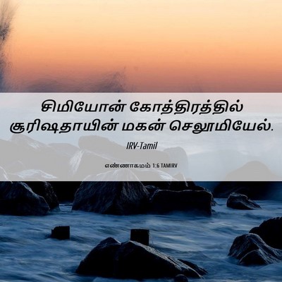 Picture 06 - எண்ணாகமம் 1:6 TAMIRV - சிமியோன் - Bible Verse Picture