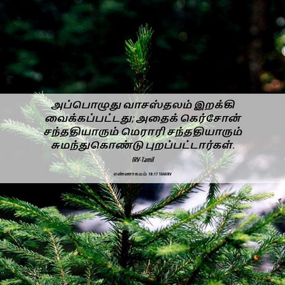 Picture 06 - எண்ணாகமம் 10:17 TAMIRV - அப்பொழுது - Bible Verse Picture
