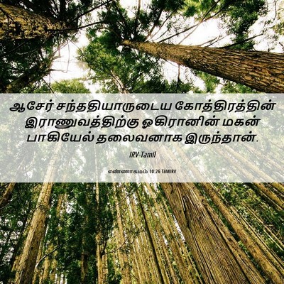 Picture 06 - எண்ணாகமம் 10:26 TAMIRV - ஆசேர் - Bible Verse Picture