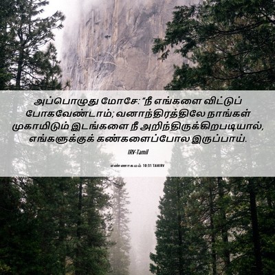 Picture 06 - எண்ணாகமம் 10:31 TAMIRV - அப்பொழுது மோசே: - Bible Verse Picture