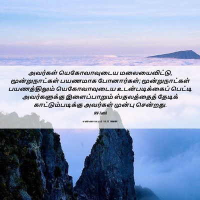 Picture 06 - எண்ணாகமம் 10:33 TAMIRV - அவர்கள் - Bible Verse Picture