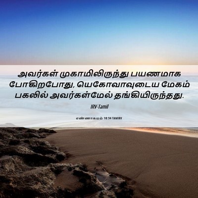 Picture 06 - எண்ணாகமம் 10:34 TAMIRV - அவர்கள் - Bible Verse Picture