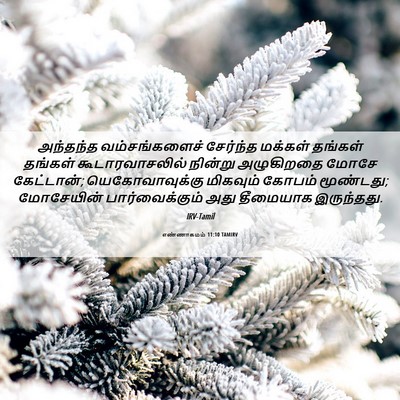 Picture 06 - எண்ணாகமம் 11:10 TAMIRV - அந்தந்த - Bible Verse Picture